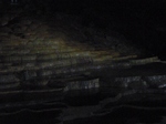 P1020132 (340x255).jpg