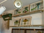 P1020155 (340x255).jpg