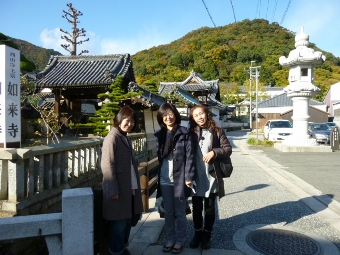 P1020347 (340x255).jpg
